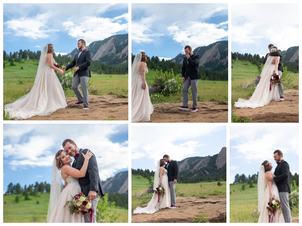 The First Look: Pros + Cons. Deciding What's Right For You - Scarlet Roots  Photography