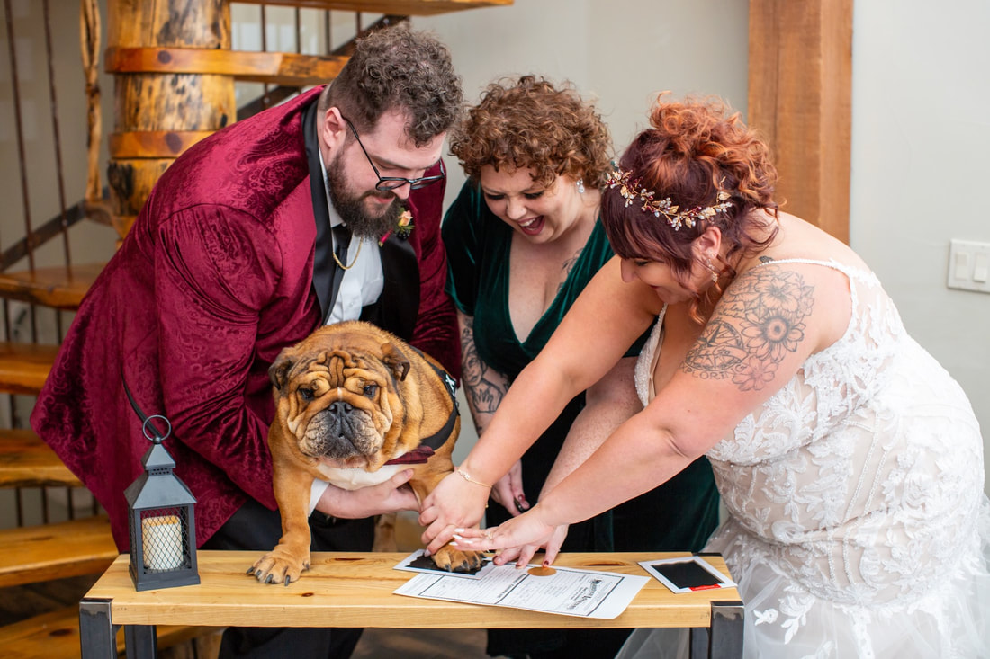 dog-signing-marriage-license